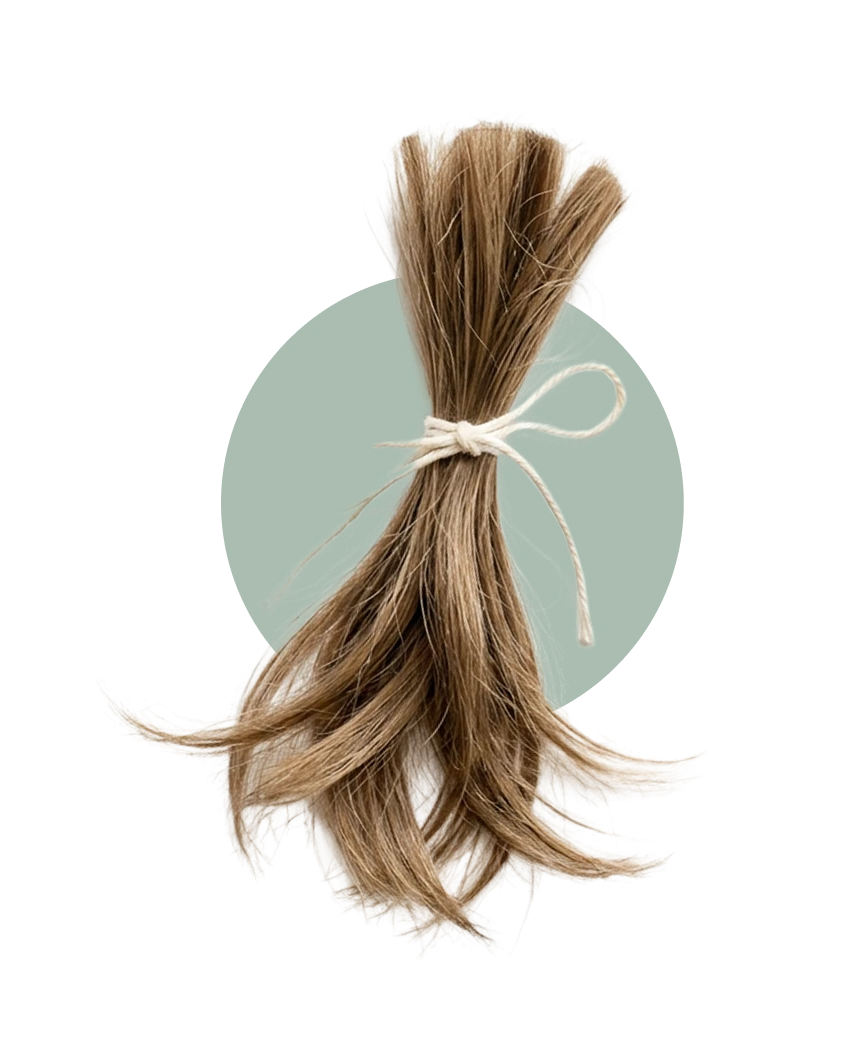 Hair care bundle